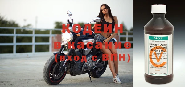 хмурый Лиски