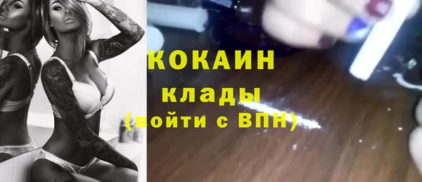 хмурый Лиски