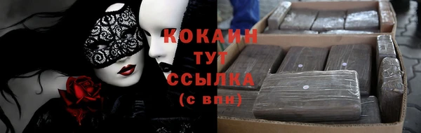 хмурый Лиски