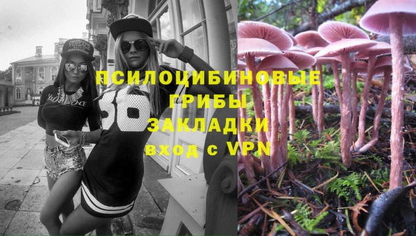 МДПВ Лагань